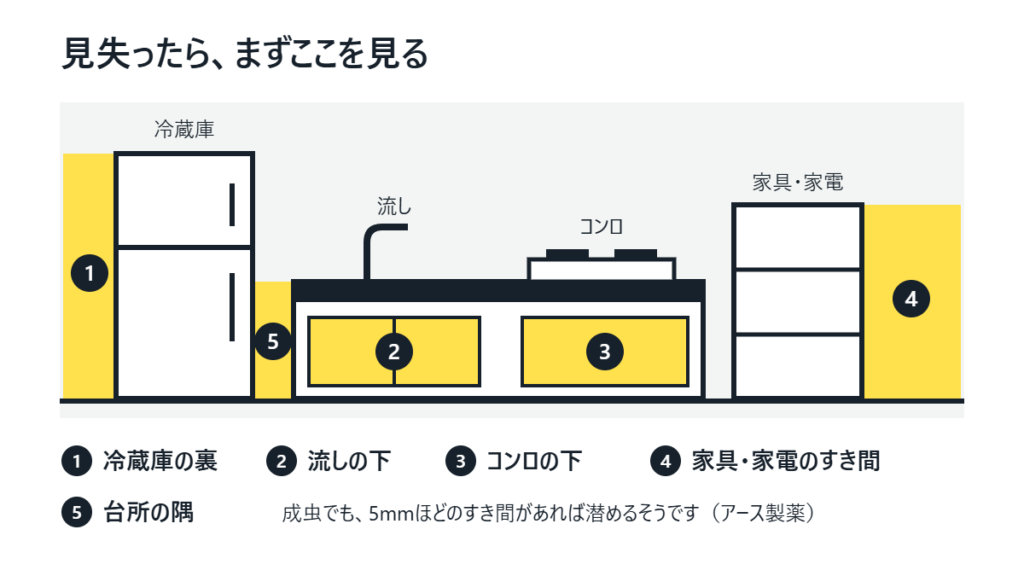 台所を横から見た図。冷蔵庫の裏、流しの下、コンロの下、家具・家電のすき間、台所の隅の5か所に色が付いている